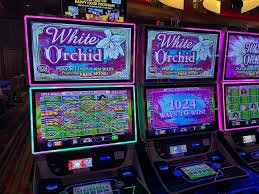pokeronline77 mobile gaming